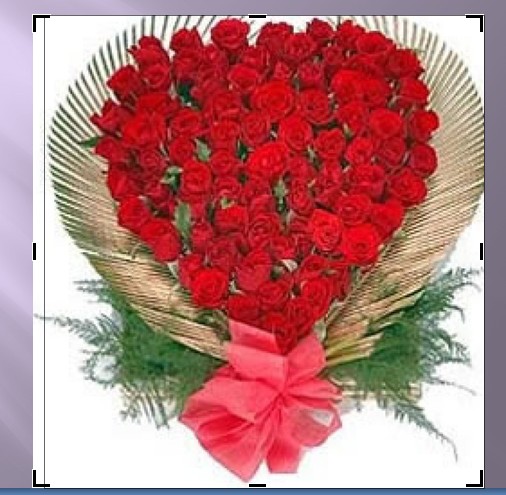 crop image crop image