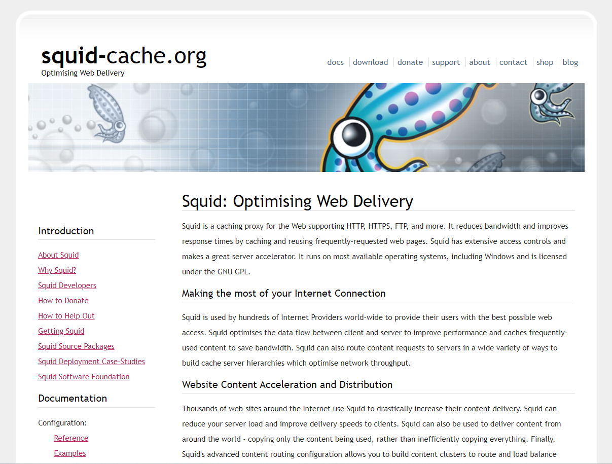 Squid Proxy Server Overview