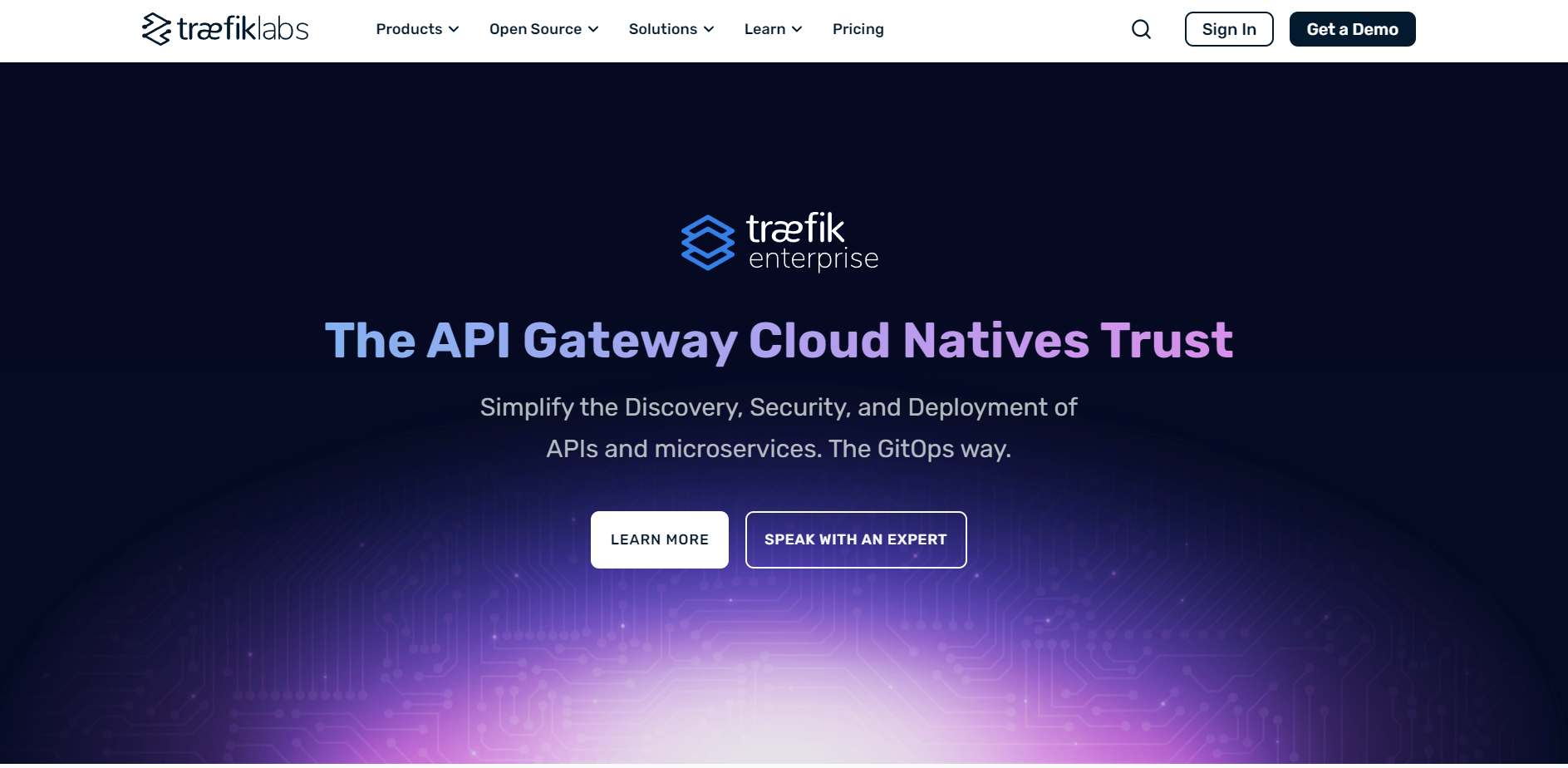 Traefik Proxy Providers