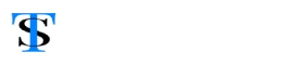 TwinStrata transparent logo small