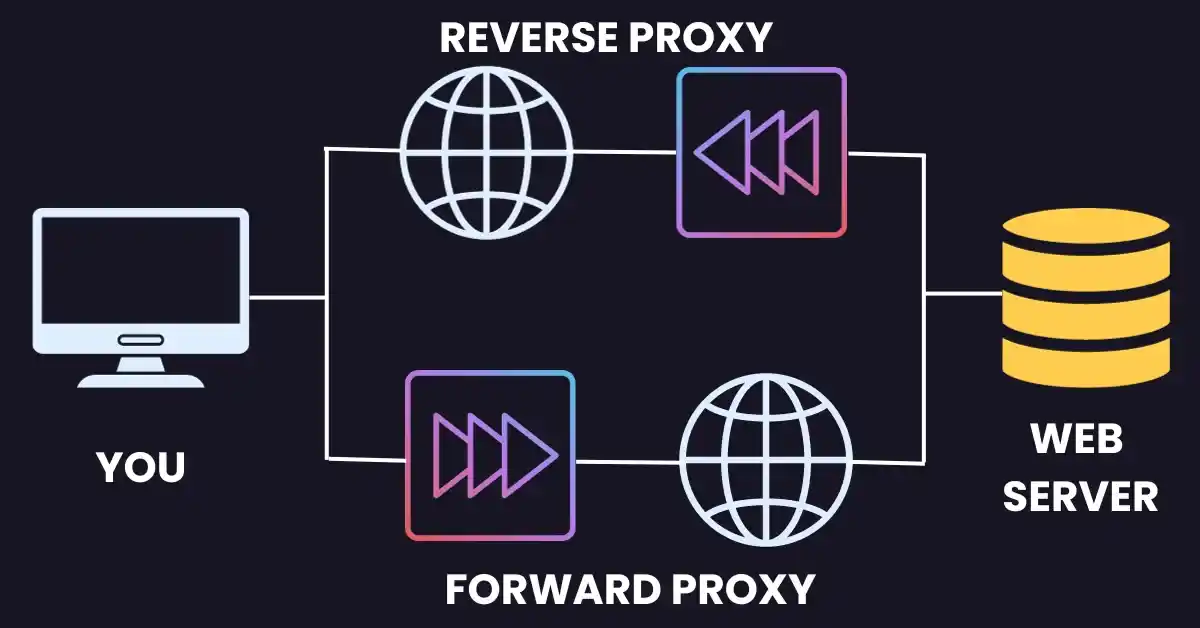 difference between forward vs reverse proxy