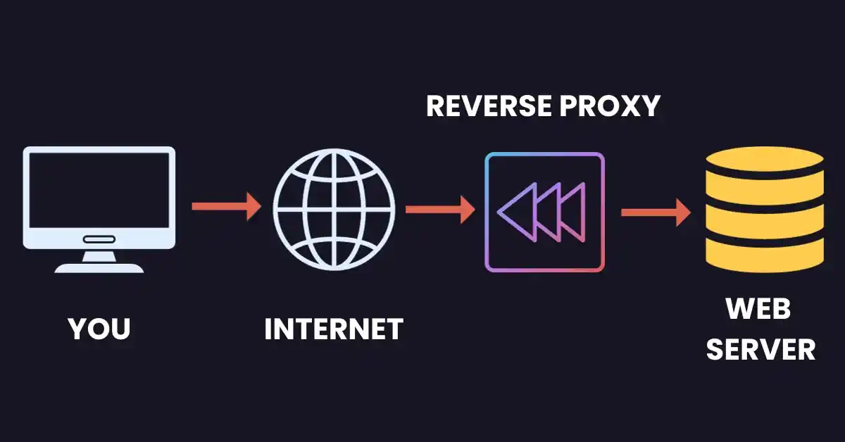 reverse proxy reverse proxy