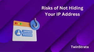 Risks of Not Hiding Your IP Address