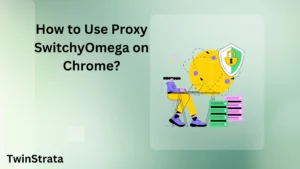 How To Use SwitchyOmega On Chrome?