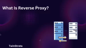 What Is Reverse Proxy
