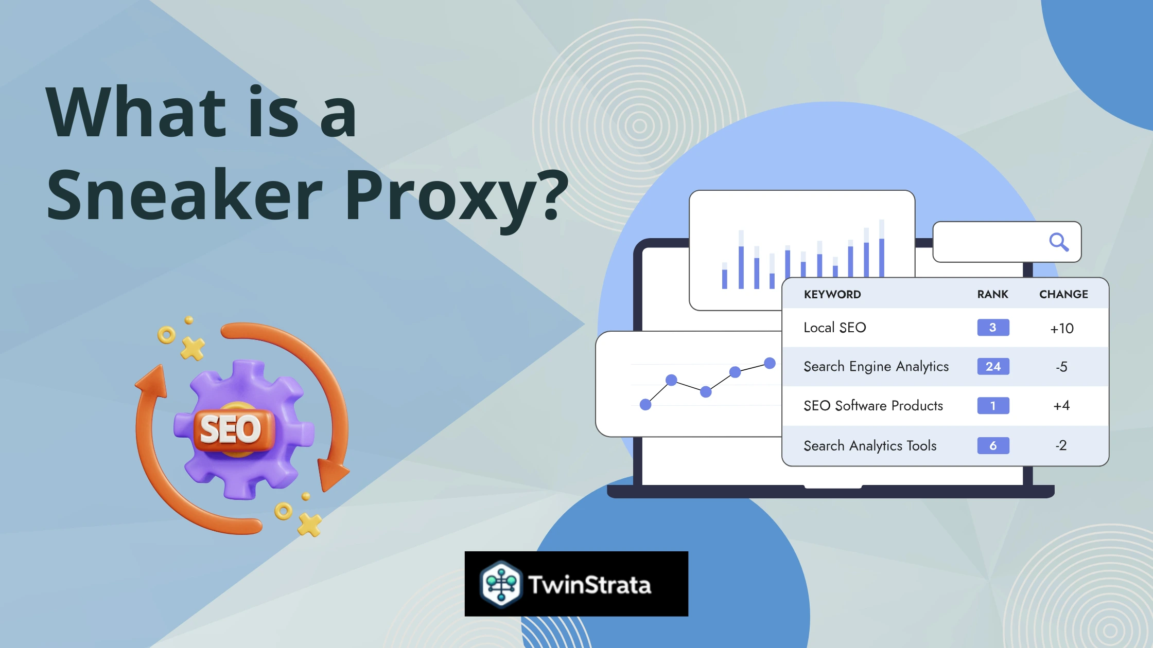 What is a Sneaker Proxy?