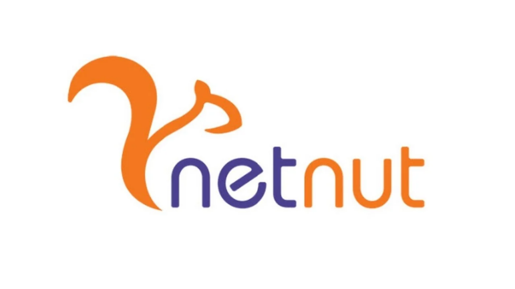 My Experience with Netnut.io