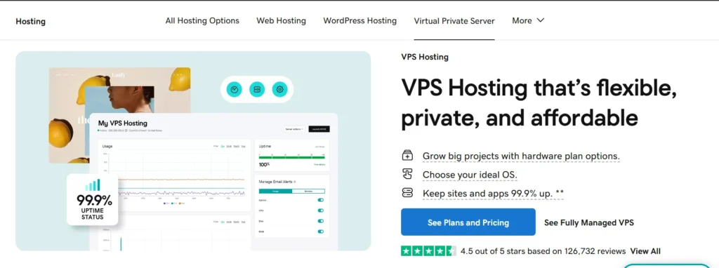 Godaddy VPS Hosting