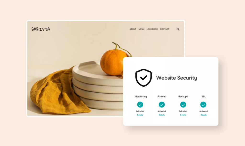 GoDaddy VPS Hosting Security