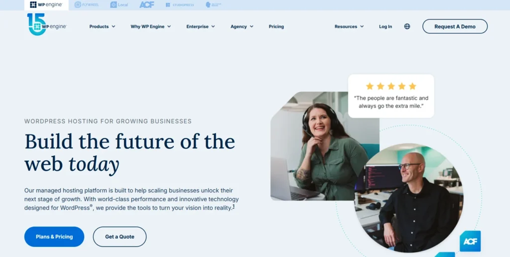 wp engine review