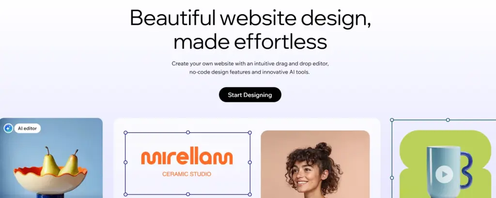 Wix website creation