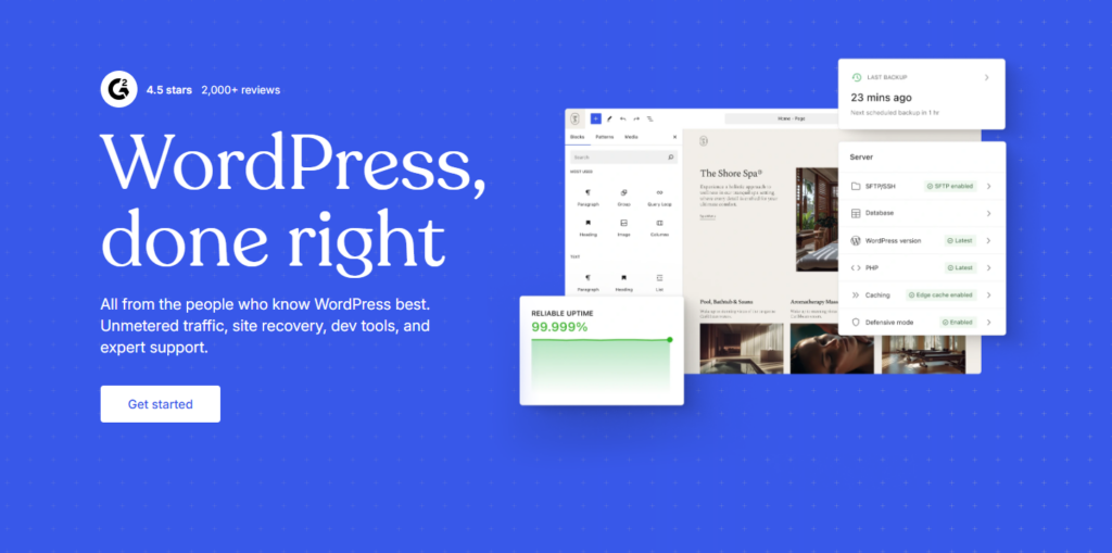 The Real Cost of a "Free" WordPress Website