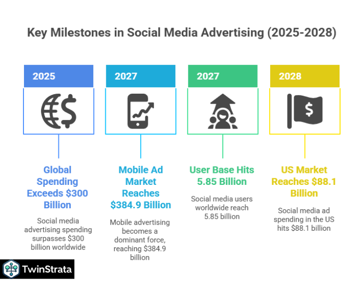 Social Media Advertisement Statistics