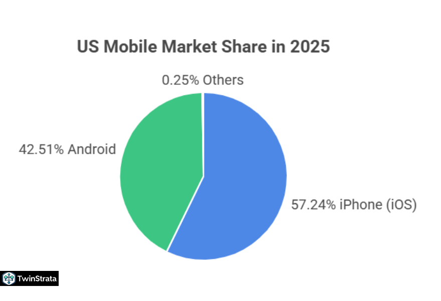 The US Market: A Different Picture