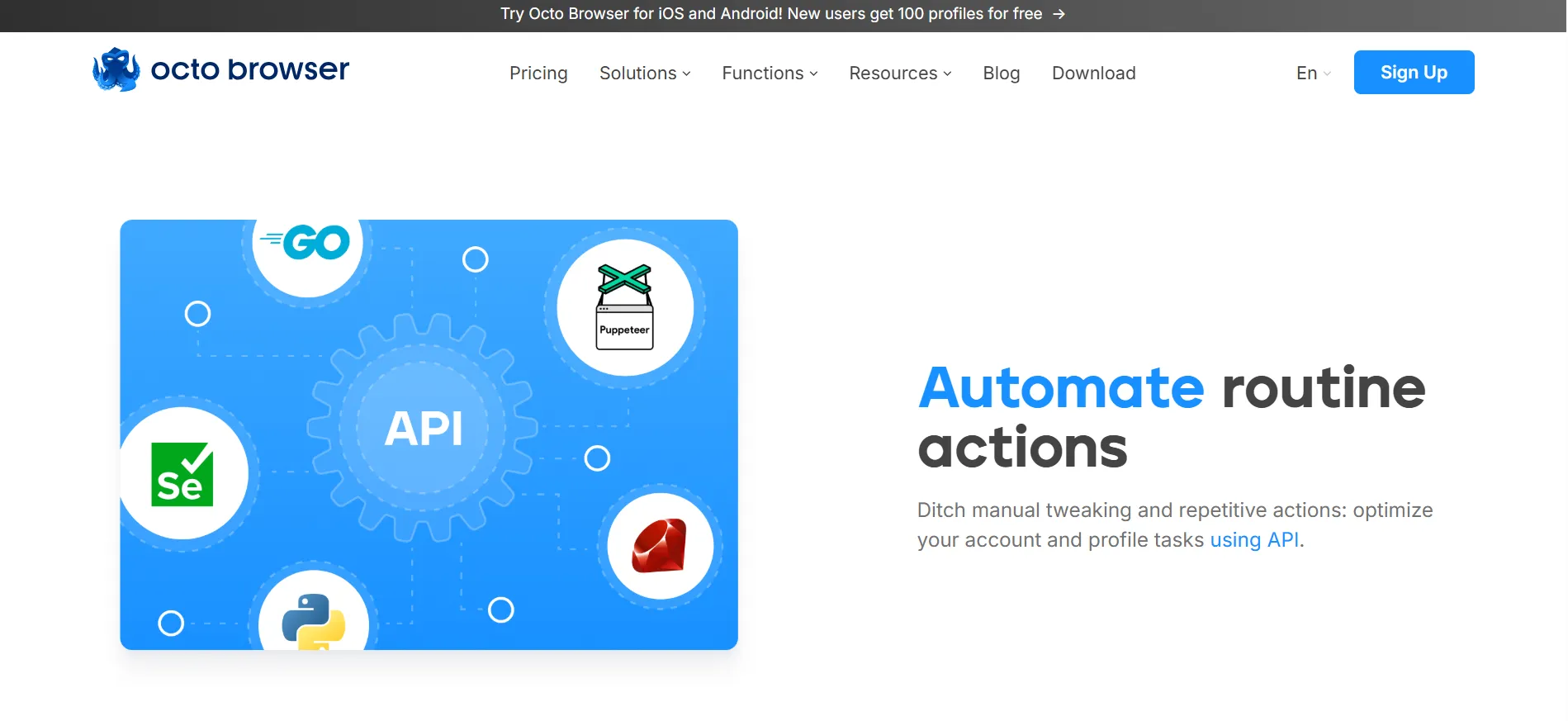 Octo Browser API Automation
